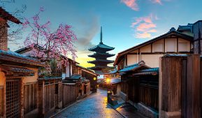 Gana un viaje a Japón Gana un viaje a Japón