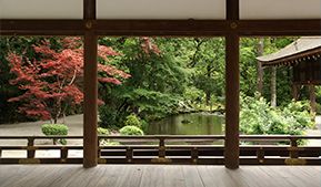 Gana un viaje a Japón Gana un viaje a Japón